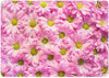 Case Cover for Macbook - Pink Daisy Flowers Design