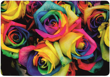 Case Cover for Macbook - Rainbow Rose Design